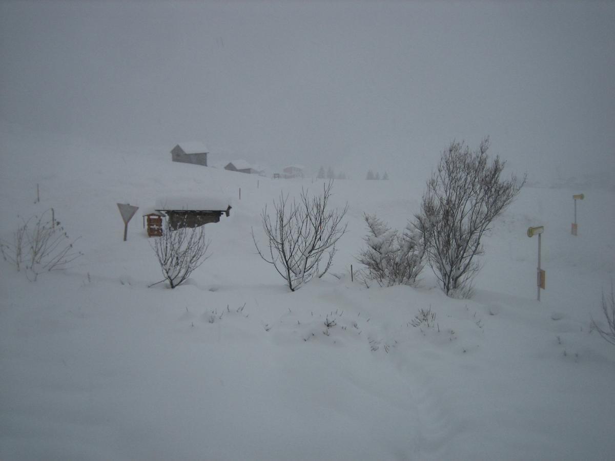 Haus Ursula Apartment Kals-am Großglockner Exterior foto