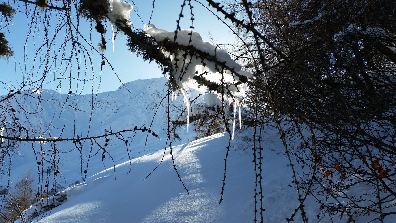 Haus Ursula Apartment Kals-am Großglockner Exterior foto