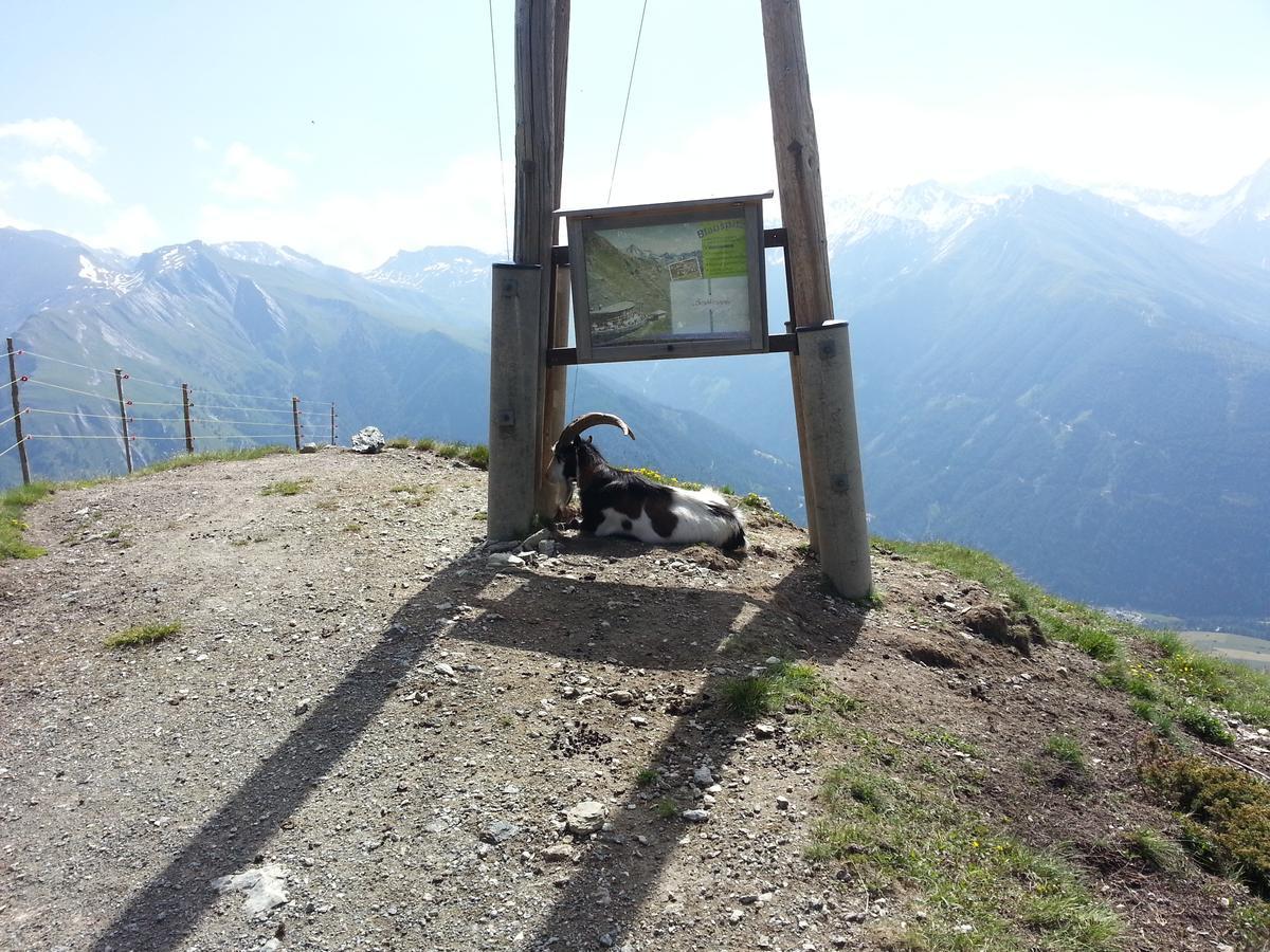 Haus Ursula Apartment Kals-am Großglockner Exterior foto